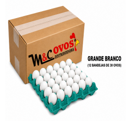 CAIXA OVOS GRANDE BRANCO C/360 OVOS